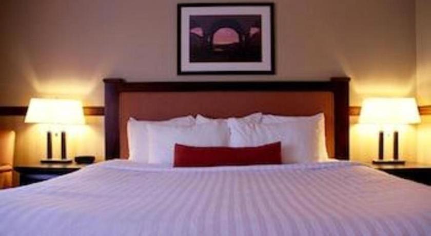 Best Western Diamond Inn Three Hills Buitenkant foto