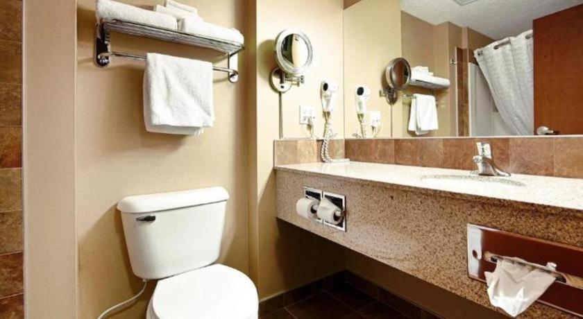 Best Western Diamond Inn Three Hills Buitenkant foto
