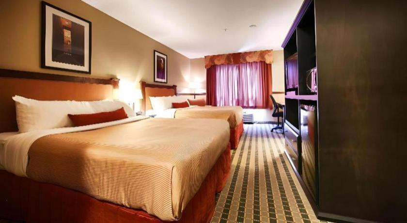Best Western Diamond Inn Three Hills Buitenkant foto